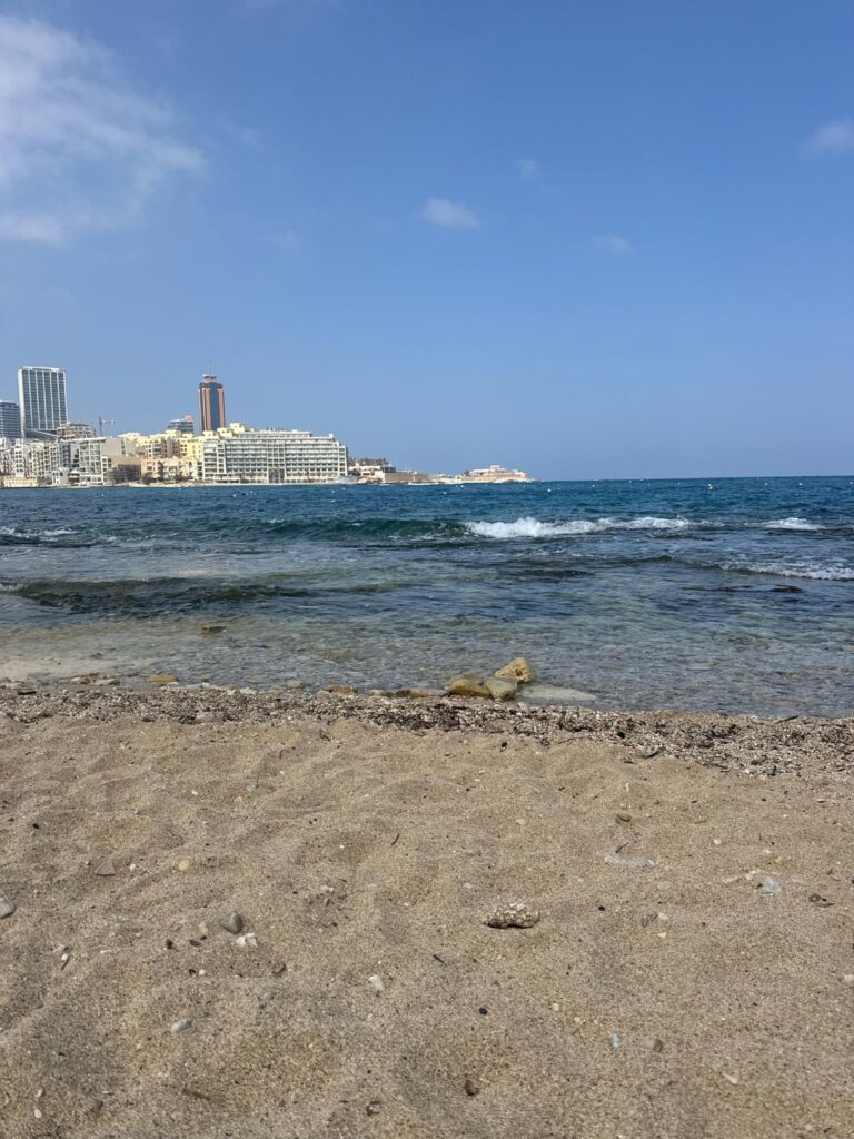 犬の排泄物をゴミ箱に捨てましょう