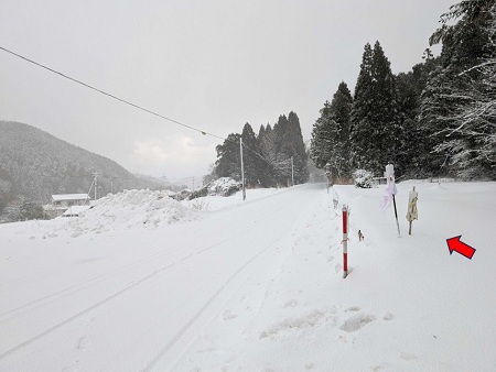 雪の中に立つ鳥取市長柄周辺（双六原）の新旧の関札（2025年1月）