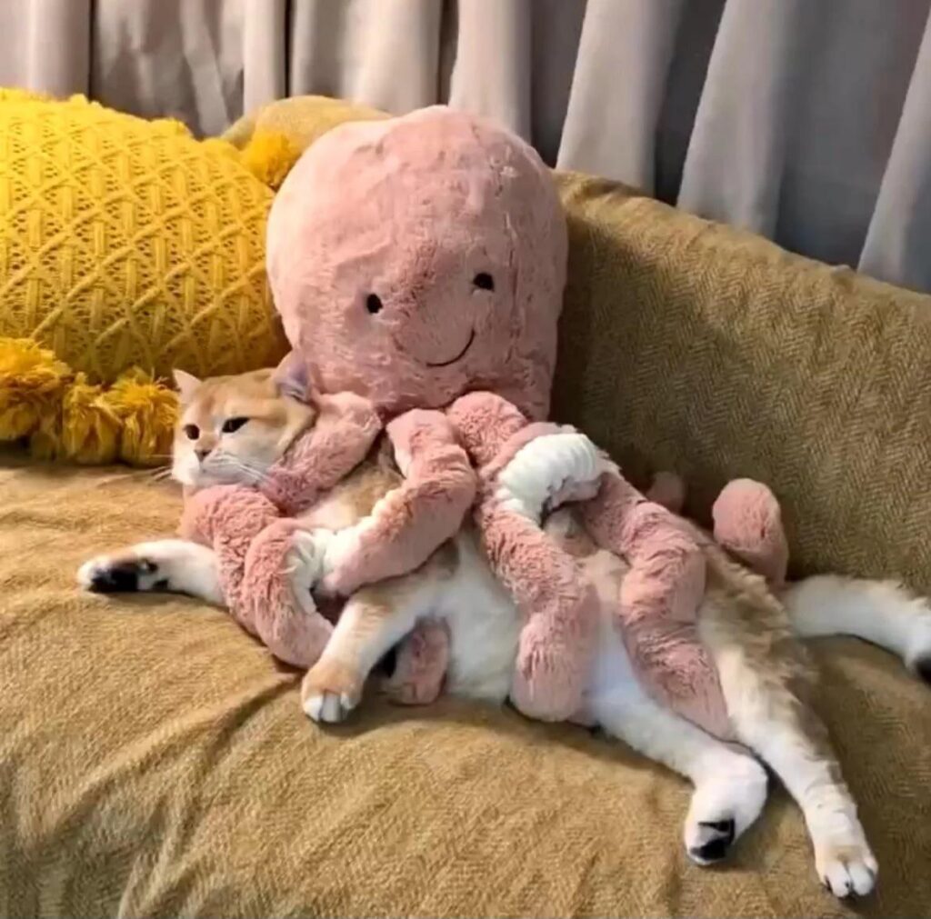 今日の触手もの