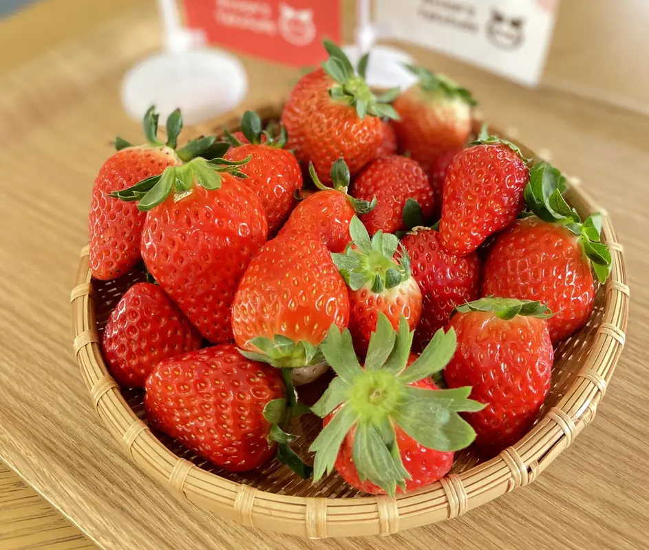 OSAKA Strawberry Festival