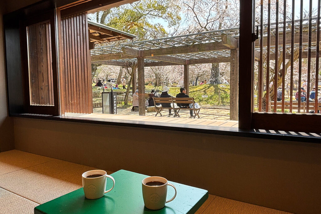 広い窓から桜も…京都・新「スタバ」は“茶屋”がテーマ？小上がりなど座席さまざま | Lmaga.jp