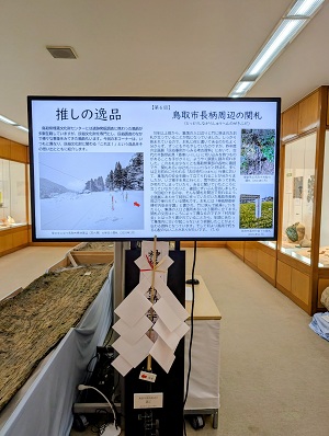 展示の様子