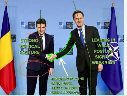 ニクソール・ダン株 ↗️↗️↗️