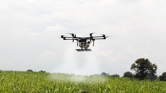 QUAD枠組みで AI活用次世代農業支援の国際研究を推進 豪CSIRO|大洋州科学技術ニュース|Science Portal Oceania 大洋州(オーストラリア、ニュージーランド等)の科学技術の今を伝える QUAD枠組みで AI活用次世代農業支援の国際研究を推進 豪CSIRO|大洋州科学技術ニュース|Science Portal Oceania 大洋州(オーストラリア、ニュージーランド等)の科学技術の今を伝える