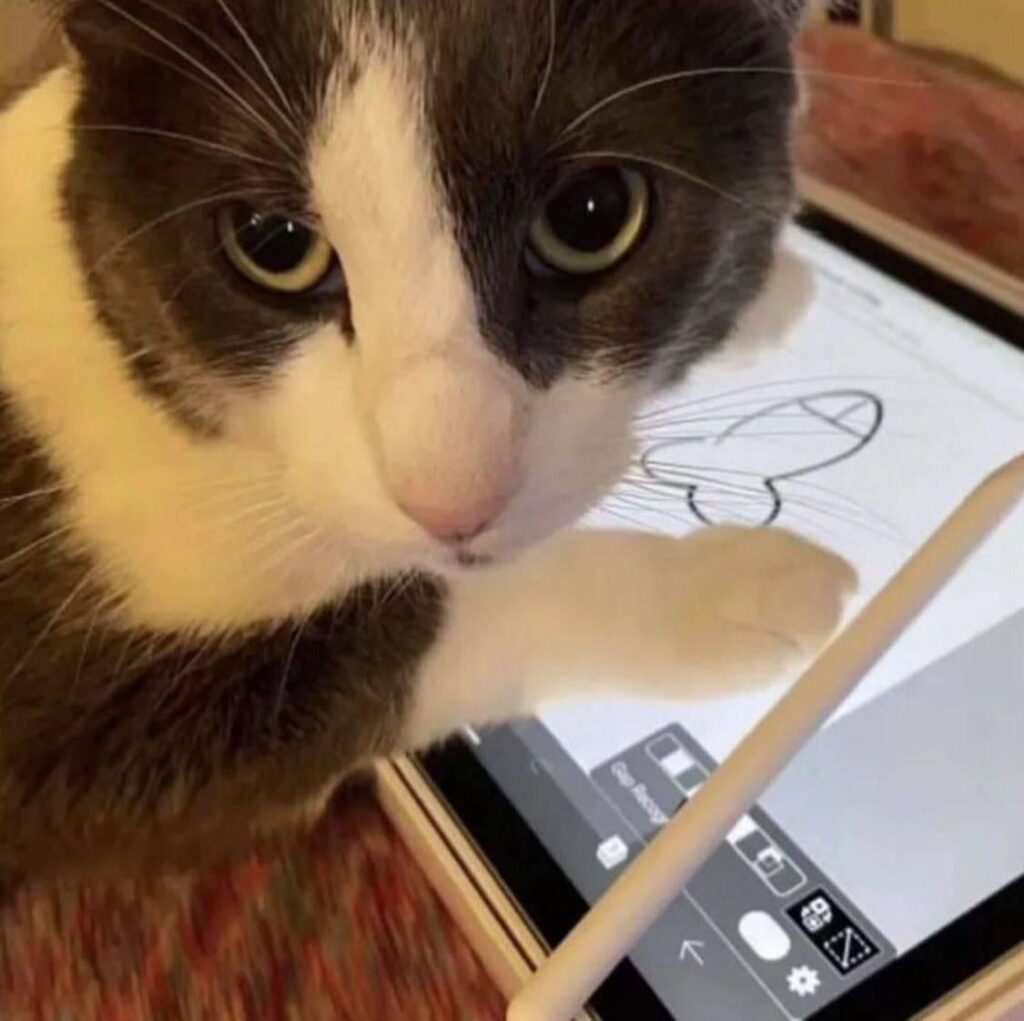 にゃーんちゃん