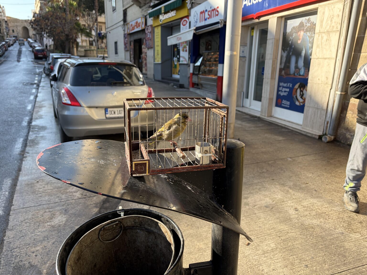 先週コスピクアのホテルの近くで発見されました…これは何ですか？ ☹️