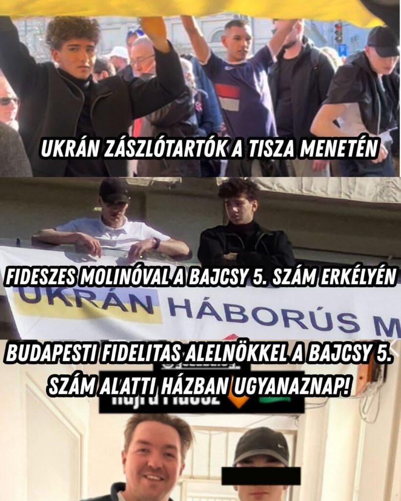 アンドラーシュ・ジャンボルさんから写真を撮りました。