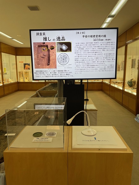 展示の様子