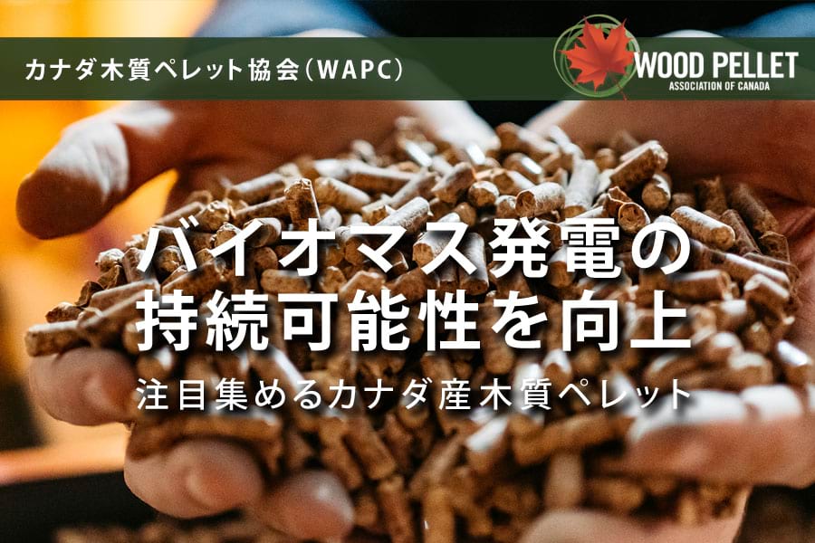 バイオマス発電の持続可能性を向上 注目集めるカナダ産木質ペレット –電気新聞ウェブサイト