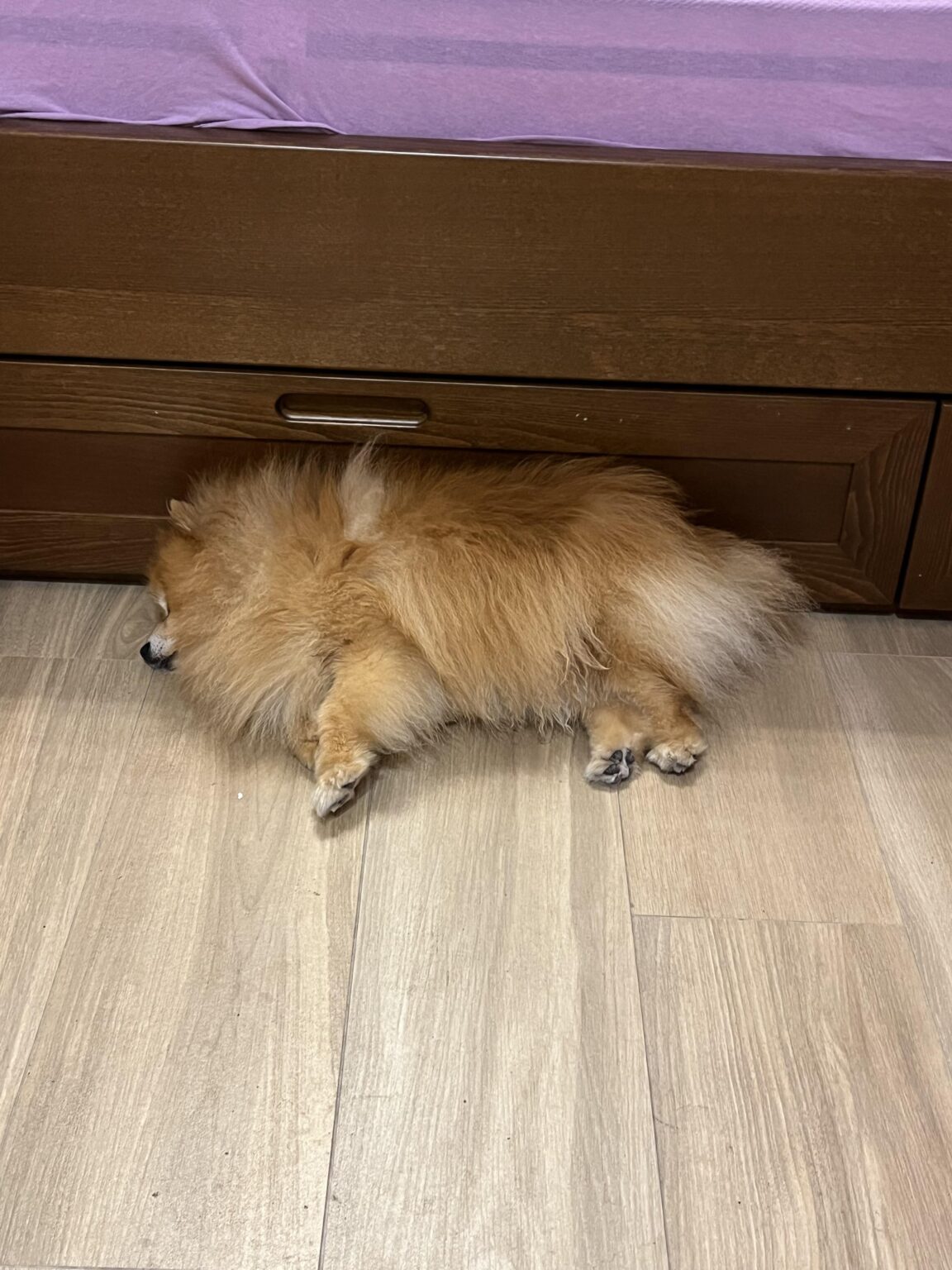 私たちは眠りに落ちました