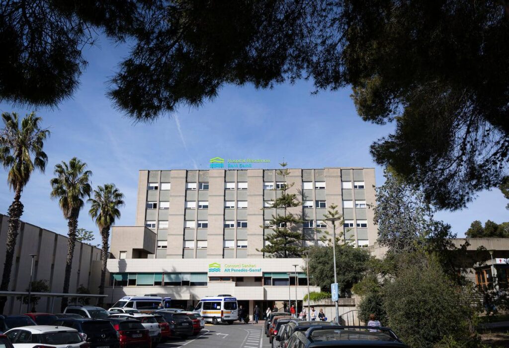 ノエリア・カスティージョに関するデマ：「メナス」のレイプから「うつ病による安楽死」まで |社会 |国