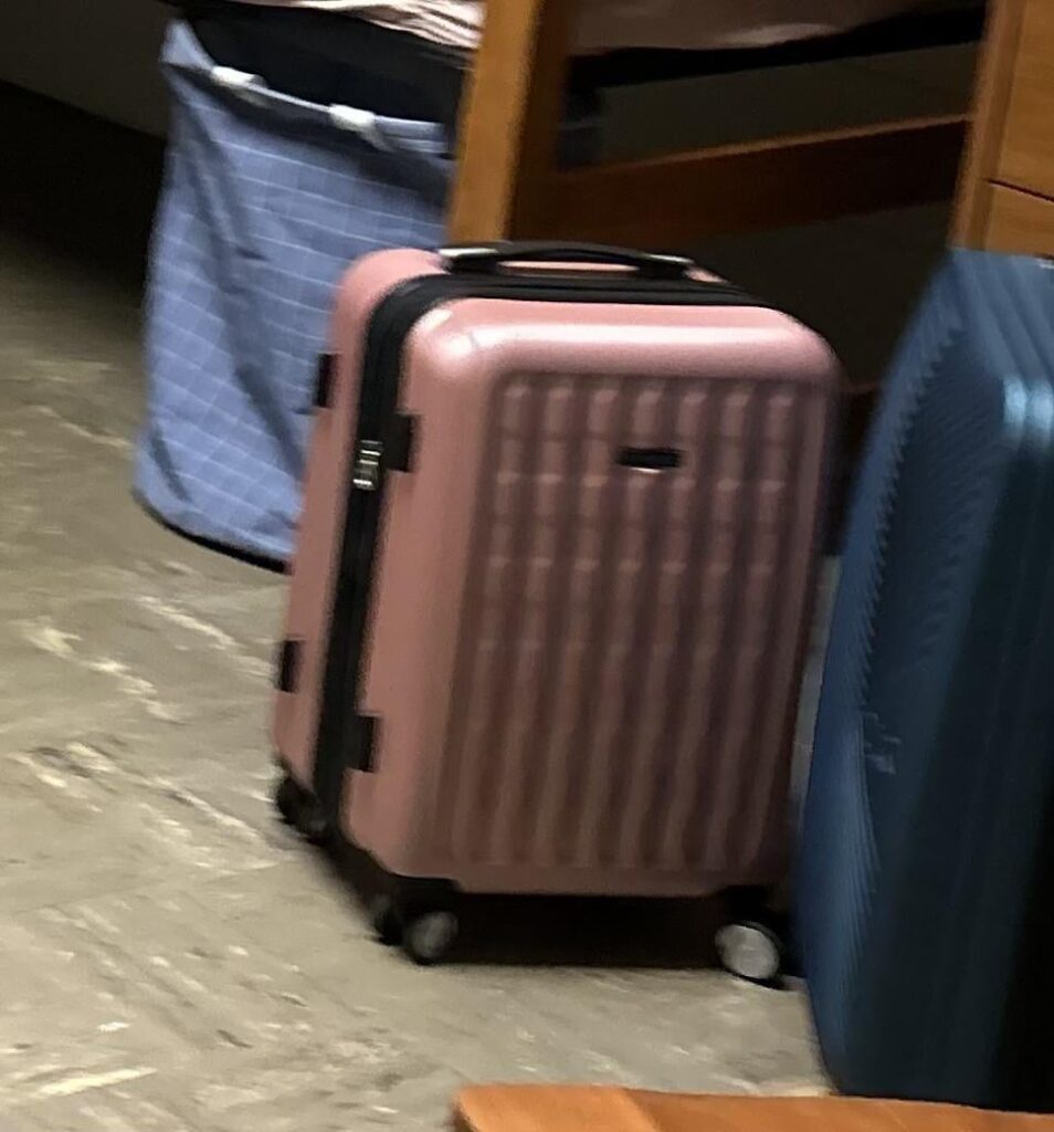 今日、ストックホルムからマルメまでの電車に乗ったピンクの荷物