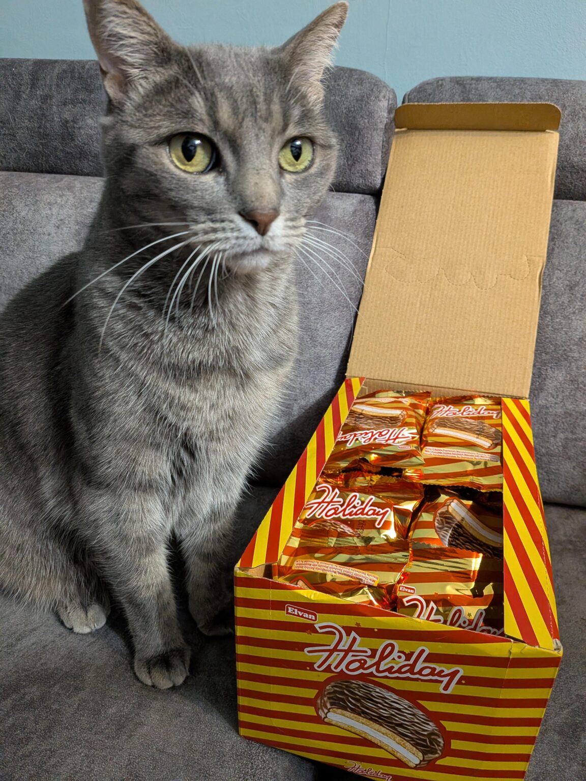 今日もらったプレゼントでからかいに来ます - 子供の頃の味