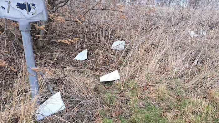 道路脇で選挙カードが発見され、DAOは再配布者を追放した