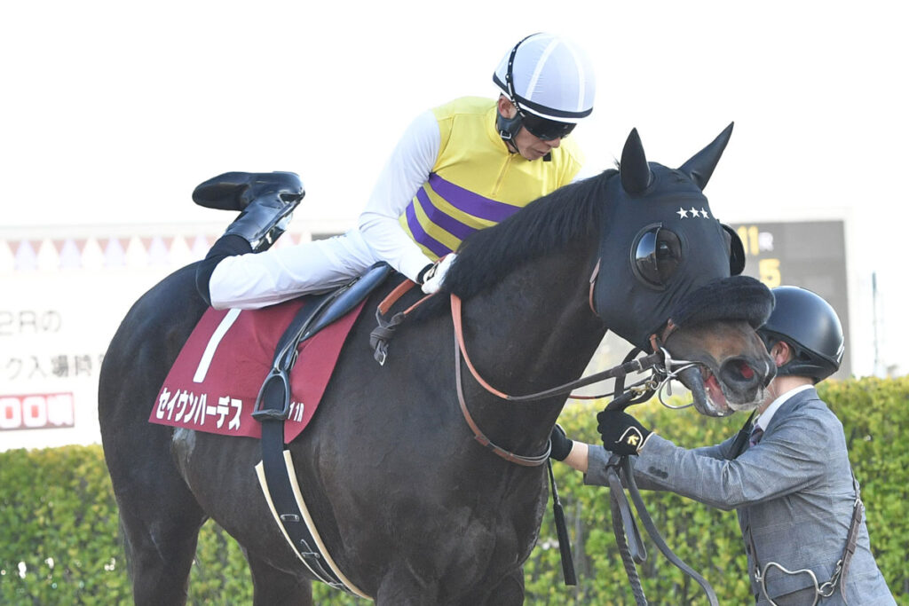 【中山記念・1番人気の敗因】逃げたセイウンハーデスは12着大敗 幸英明「できれば控えて競馬したかった」 - 東スポ競馬