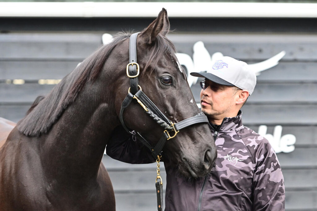 【高松宮記念】悔し涙で自分を責めてから2年…「熱い男」浜中俊騎乗でナムラクレアはラストランへ - 東スポ競馬