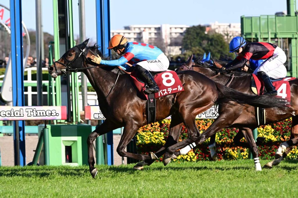 【弥生賞・レース回顧】最重要トライアルではないことを痛感した一戦 新星誕生はスプリングSに期待 – 東スポ競馬 【弥生賞・レース回顧】最重要トライアルではないことを痛感した一戦 新星誕生はスプリングSに期待 - 東スポ競馬