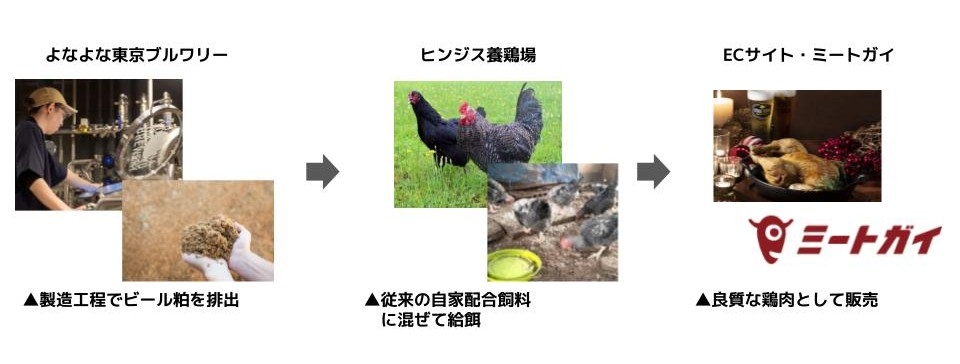 ビール粕鶏ができる流れ。製造工程でビール粕を排出し、養鶏場にて通常の飼料にまぜこむ、良質な鶏肉として販売
