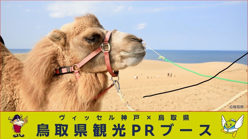 ヴィッセル神戸 ニュース/レポート : 4/29（水・祝）vs.セレッソ大阪にて「鳥取県観光PRブース」出店のお知らせ