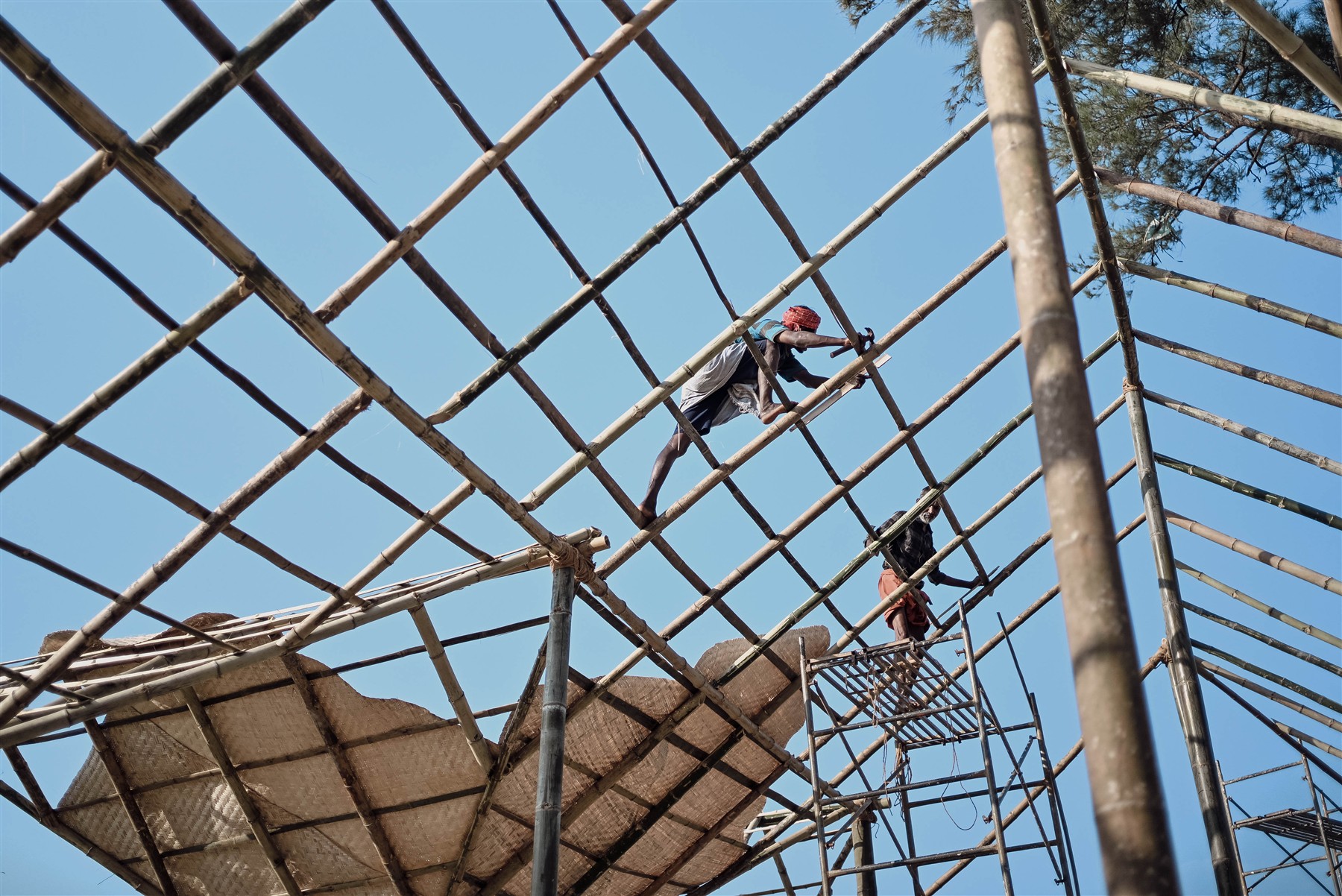 〈ドイツパビリオン（The German Pavilion）〉THE PURPLE INK STUDIO