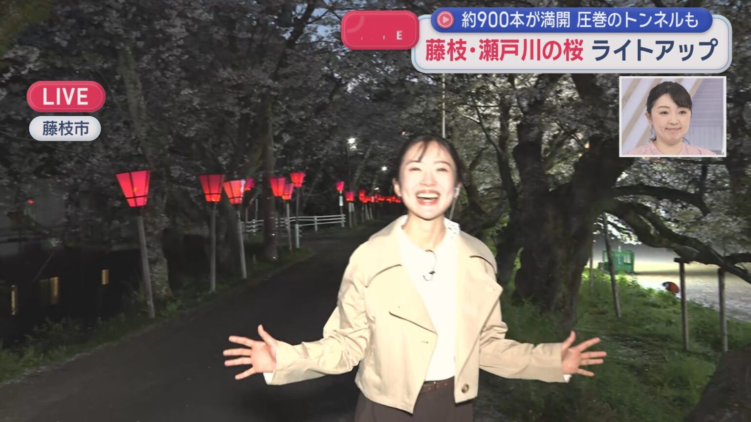 【中継】900本が満開…2キロに渡る桜のトンネル 静岡・藤枝市の瀬戸川の桜ライトアップ – LOOK 静岡朝日テレビ 【中継】900本が満開…2キロに渡る桜のトンネル 静岡・藤枝市の瀬戸川の桜ライトアップ - LOOK 静岡朝日テレビ