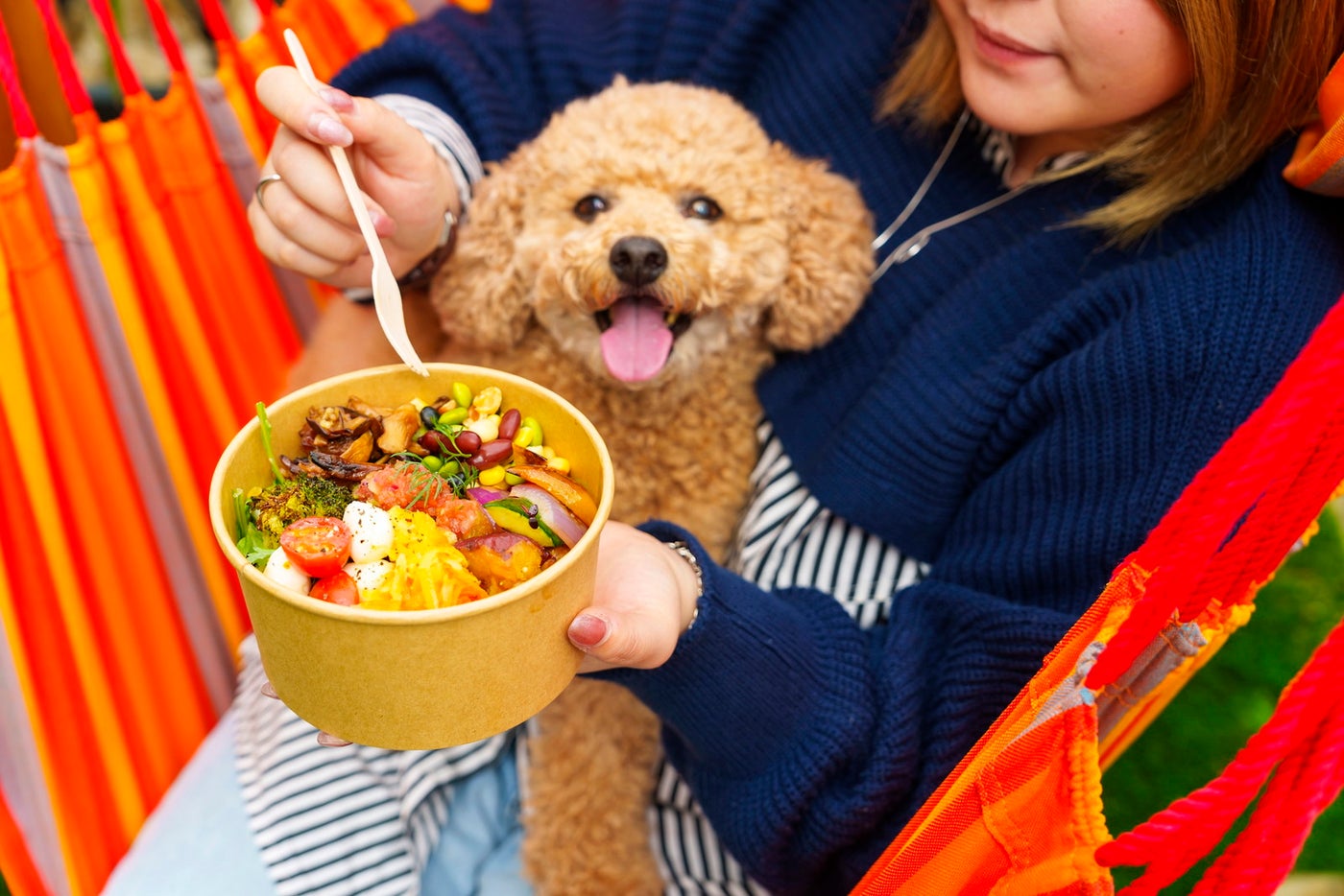 DOG RUN & BBQ Beer Garden／提供画像