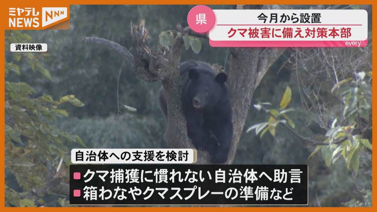 「4月以降 クマ目撃情報が」宮城県が設置・野生鳥獣被害 対策本部＜クマ被害対策＞