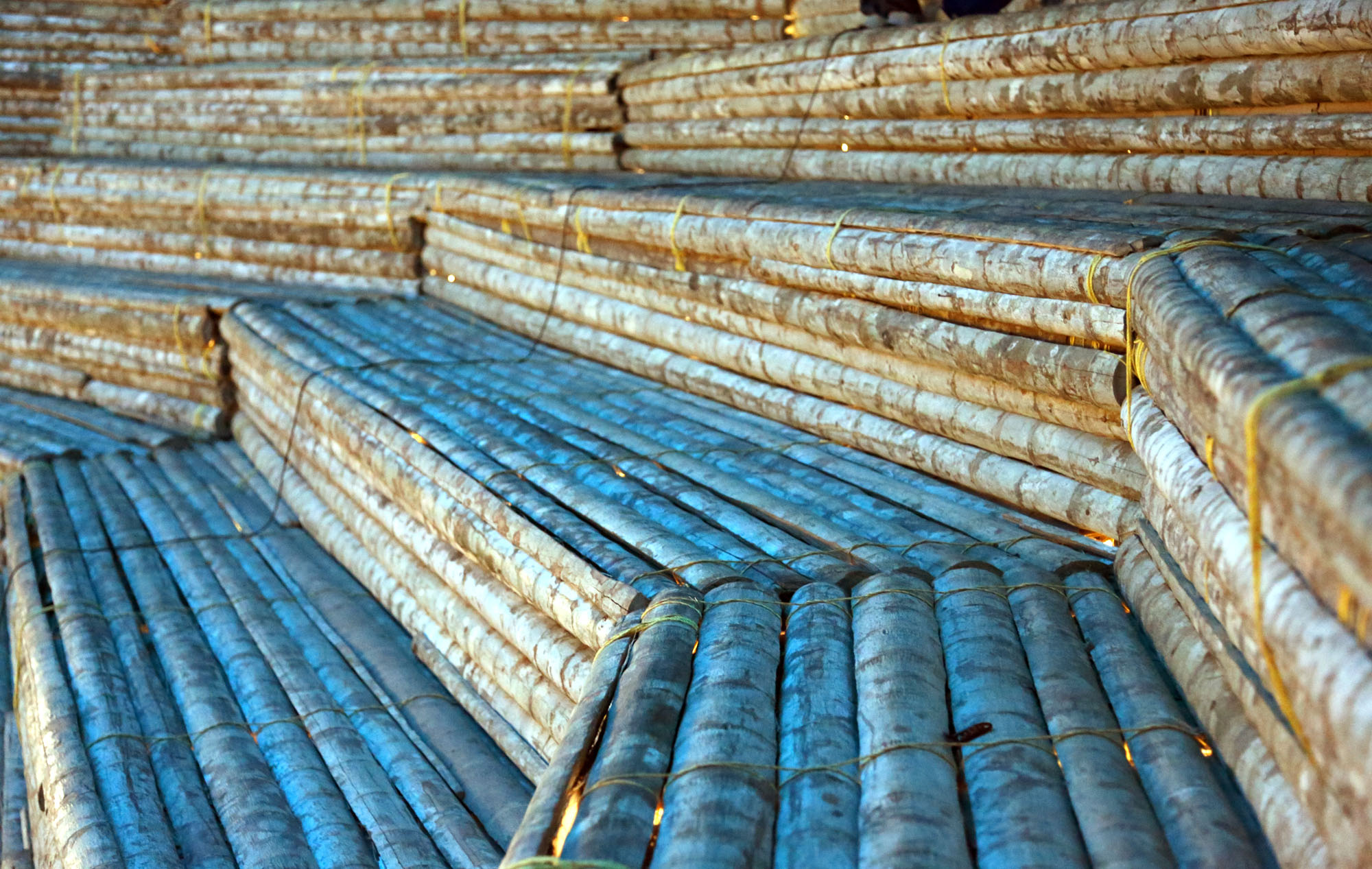 〈コチ・ビエンナーレ・パビリオン（Kochi Biennale Pavillion）〉Stapati