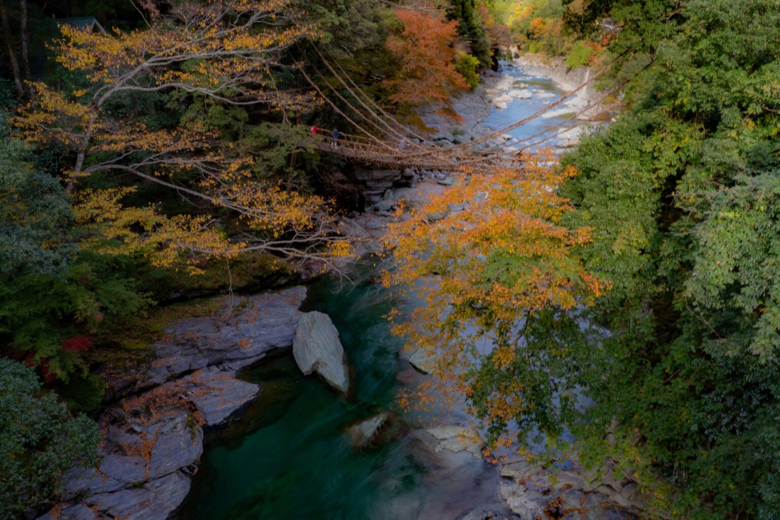 【徳島県】日本三大秘境・祖谷渓に「明日を照らす灯り」が誕生。4/25グランドオープン『IYA-KEI GLAMPING TOMORI』。渓流サウナと阿波牛のオーベルジュで、心に火を灯す至福の充電旅へ - ラブすぽ