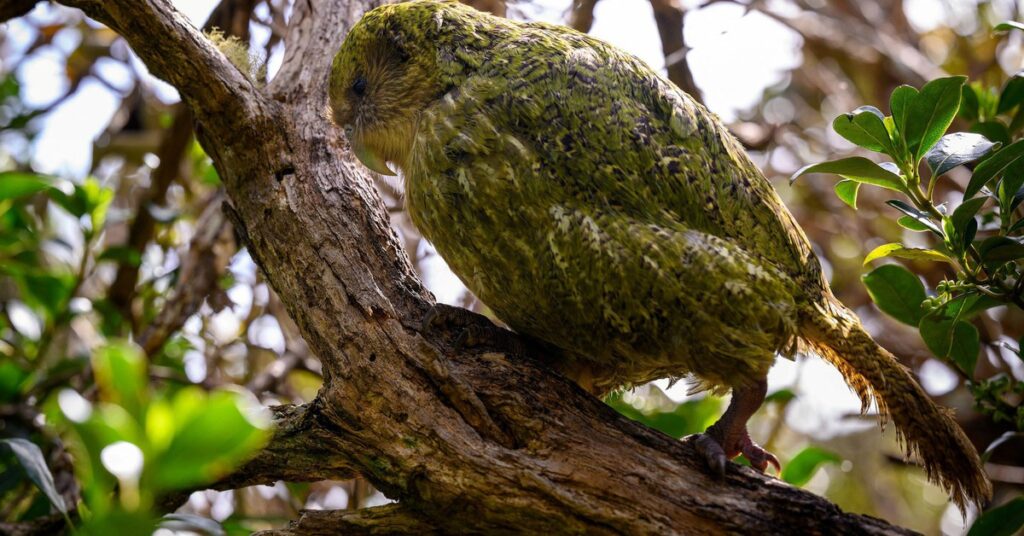 Vietnam.vn - Nền tảng quảng bá Việt Nam