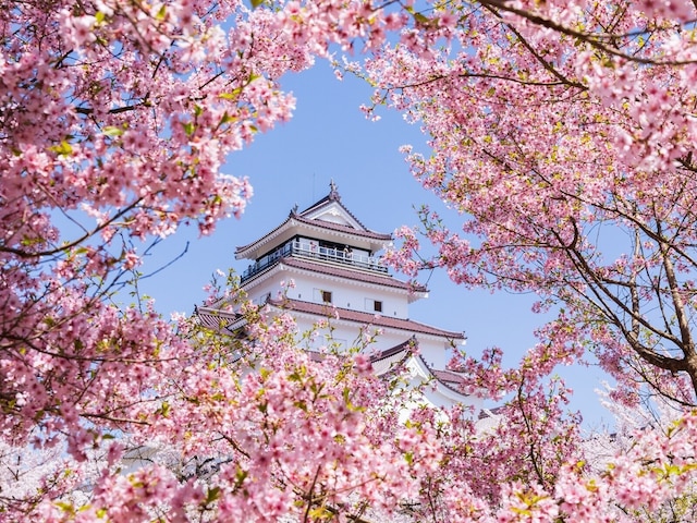 「滝のように広がる姿は圧巻」福島県の“行ってみたい&好きな桜の名所”9選! 最多票を獲得したのは?【2026年調査】(All About NEWS)|dメニューニュース(NTTドコモ) 「滝のように広がる姿は圧巻」福島県の“行ってみたい&好きな桜の名所”9選! 最多票を獲得したのは?【2026年調査】