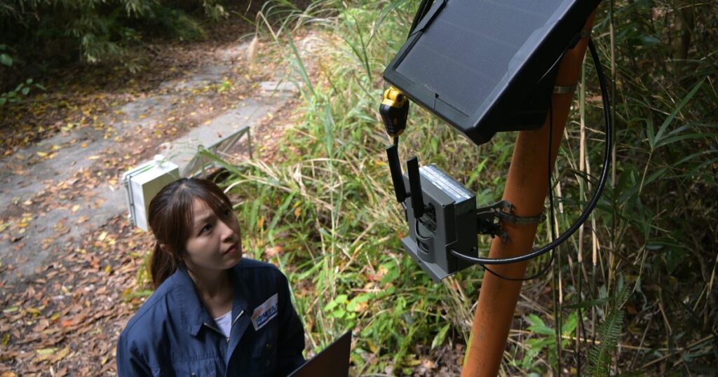 密猟対策にAI活用 林道入退域、即時に把握沖縄セルラー やんばるで実証実験 密猟対策にAI活用 林道入退域、即時に把握沖縄セルラー やんばるで実証実験