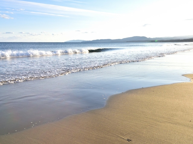 「読むのが難しい」と思う高知県の駅TOP10! 2位「浮鞭」を抑えた1位は?【2026年調査】(All About NEWS)|dメニューニュース(NTTドコモ) 「読むのが難しい」と思う高知県の駅TOP10! 2位「浮鞭」を抑えた1位は?【2026年調査】