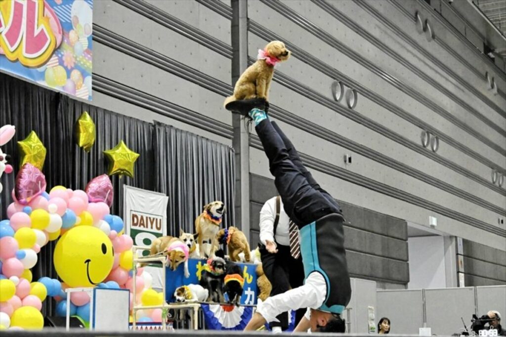 動物との触れ合い楽しむ　５日までペットカーニバル　福島県郡山市 | 福島民報デジタル
