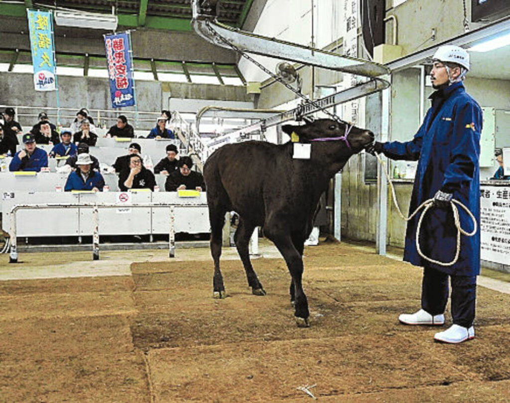 和牛初競り前年上回る　ＪＡ全農福島　平均８４万４３９０円 | 福島民報デジタル