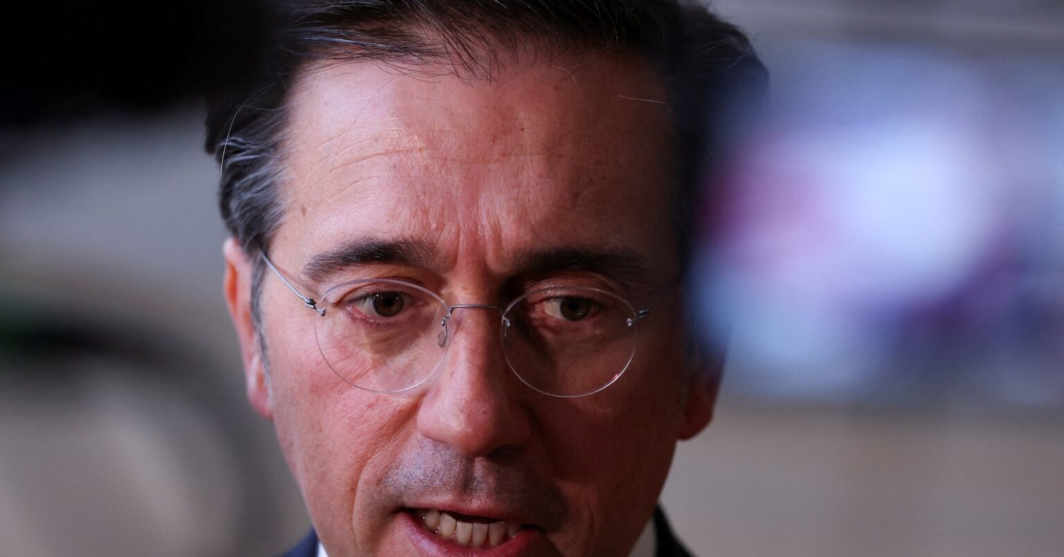 トランプ氏発言が欧州安保の動き誘発、統合軍創設も視野＝スペイン外相 | ロイター