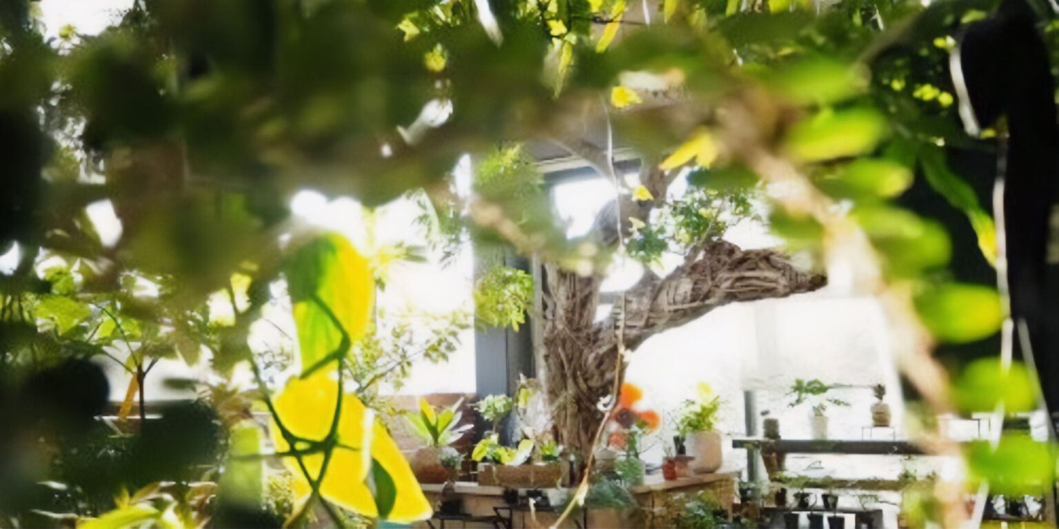 【柏の葉T-SITE】グリーンライフスタイル専門店「SOW the Farm UNIVERSAL KASHIWANOHA」が4/1(水)にオープン 【柏の葉T-SITE】グリーンライフスタイル専門店「SOW the Farm UNIVERSAL KASHIWANOHA」が4/1(水)にオープン