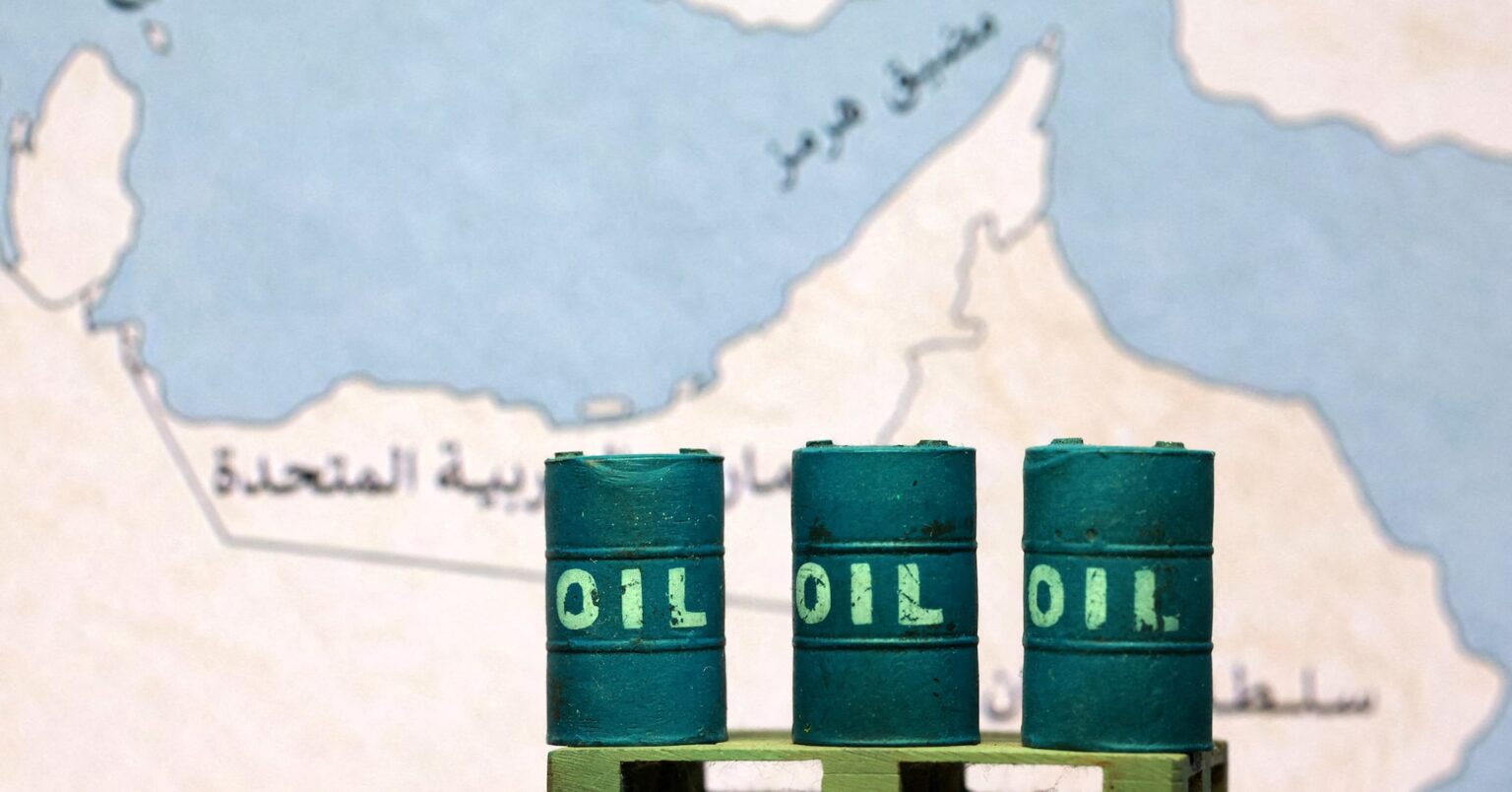 インタビュー：原油供給不安、中ロ連携で対日情報工作か　明大教授ら分析 | ロイター