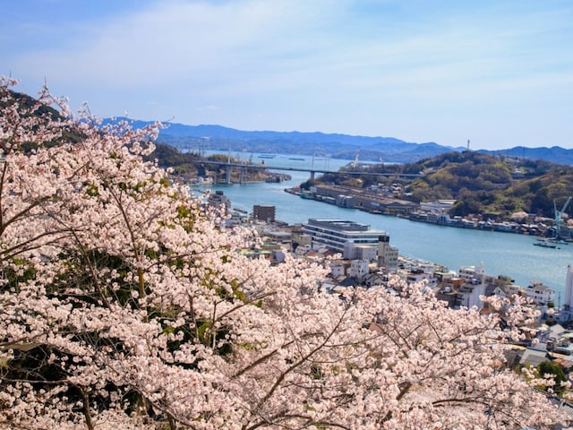 「唯一無二の絶景」広島県の“行ってみたい&好きな桜の名所”TOP6! 1位の名所に絶賛の声【2026年調査】(All About NEWS)|dメニューニュース(NTTドコモ) 「唯一無二の絶景」広島県の“行ってみたい&好きな桜の名所”TOP6! 1位の名所に絶賛の声【2026年調査】