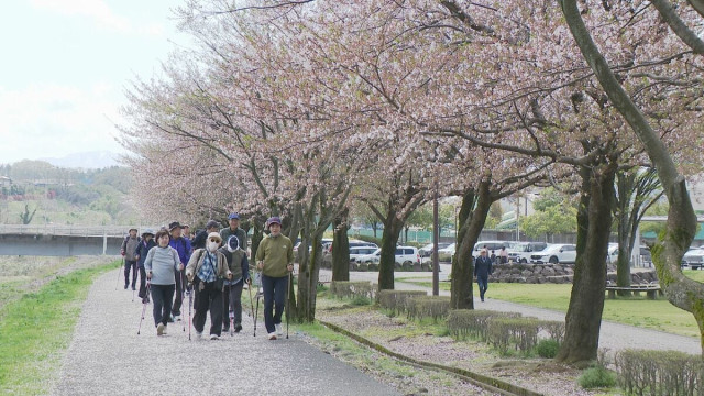 ポールウォーキング大会 転倒防止の運動にも 石川・金沢市