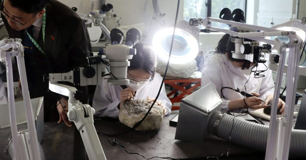 恐竜学部、拠点開設　福井県立大に新キャンパス