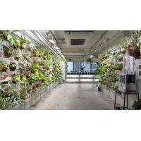 植物愛好家の聖地 「vandaka plants OSAKA」 が大阪・浪速区にオープン