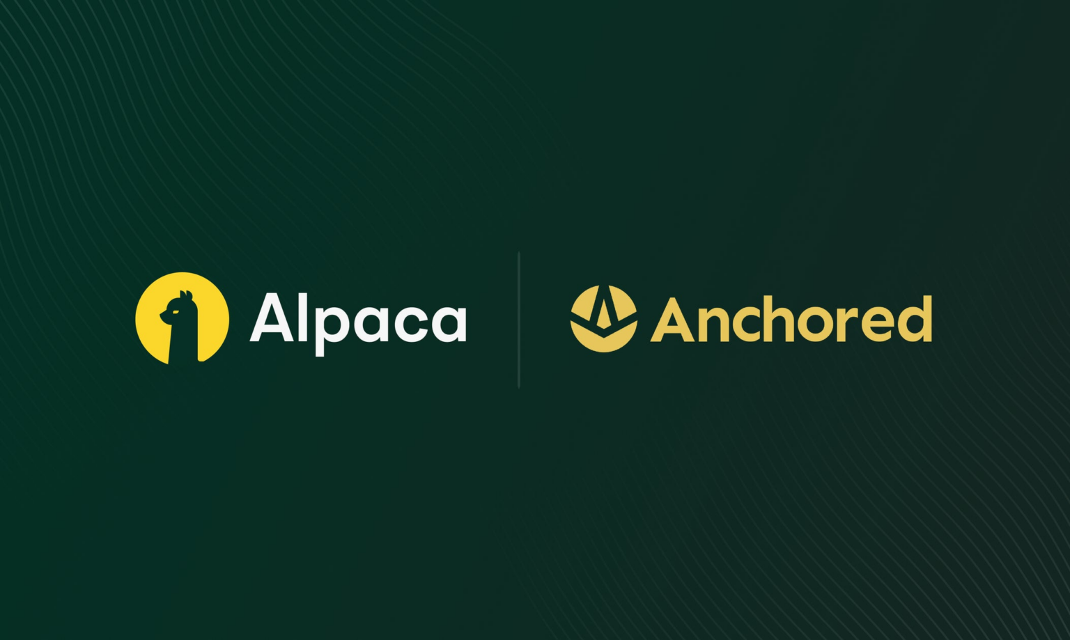 Anchored Finance、アルパカのインフラを通じて米国株のトークン化を開始 | AlpacaJapan株式会社のプレスリリース
