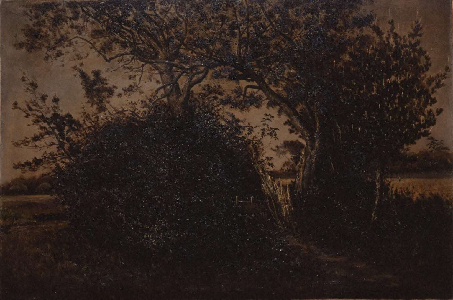 【島根県立美術館】コレクション展 第1期 「近代洋画名品選 ―島根の画家たちとともに」開催のお知らせ | 島根県のプレスリリース