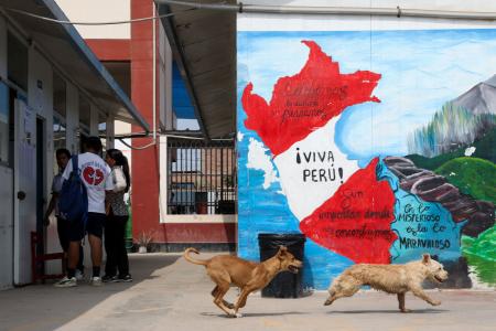 ペルー大統領選、開票に遅れ 一部投票所でトラブル | 全国のニュース | 福井新聞ONLINE