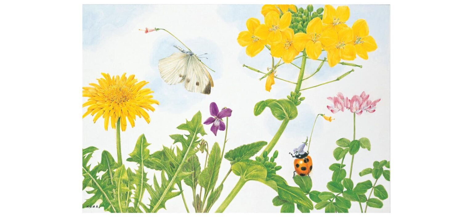 熊田千佳慕の世界 〜愛するからこそ美しい〜（群馬県立館林美術館）｜美術手帖