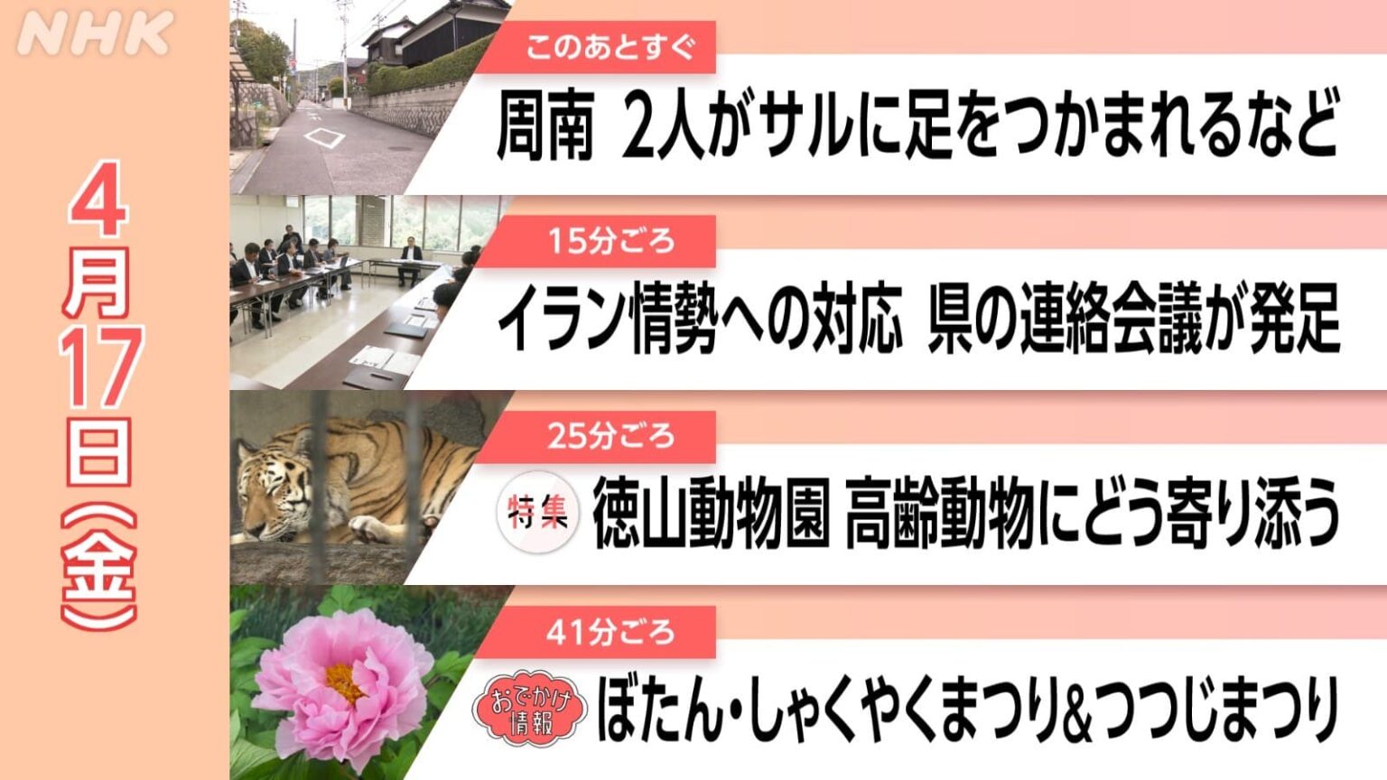【配信4/24まで】高齢動物にどう寄り添う 徳山動物園 秋芳梨の受粉作業 ほか 4/17（金）情報維新！やまぐち