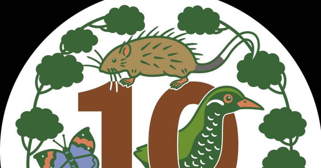 指定１０周年記念　ロゴマーク作成　やんばる国立公園