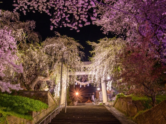 【山形県】複数の源泉を楽しめる「赤湯温泉」の魅力とは？ 千本桜やワイン、名物ラーメンを満喫