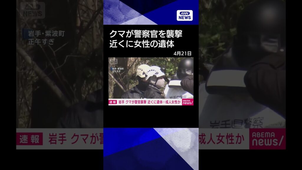 【ニュース】【速報】クマが警察官“襲撃” 近くに女性遺体　岩手・紫波町 #shrots